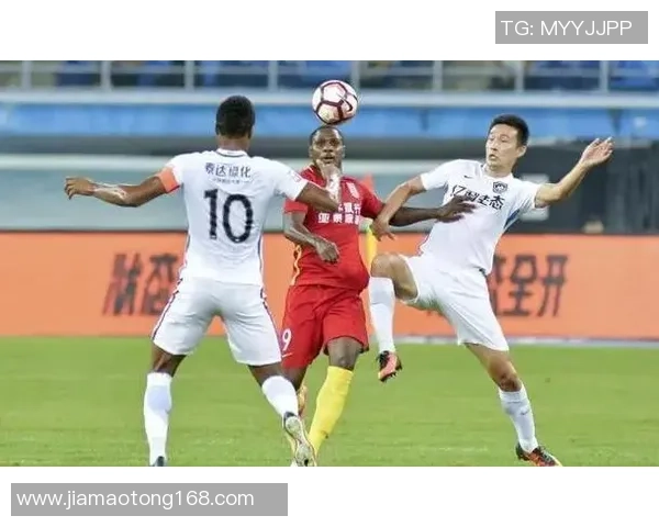 杭州排球队状态引发热议球迷与专家观点大相径庭