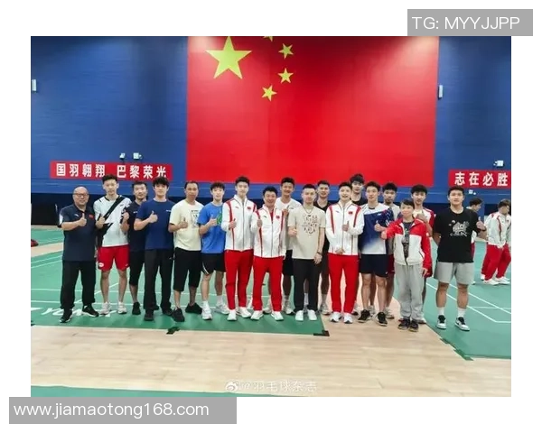 西安羽毛球队在奥运会上的技术表现分析与点评