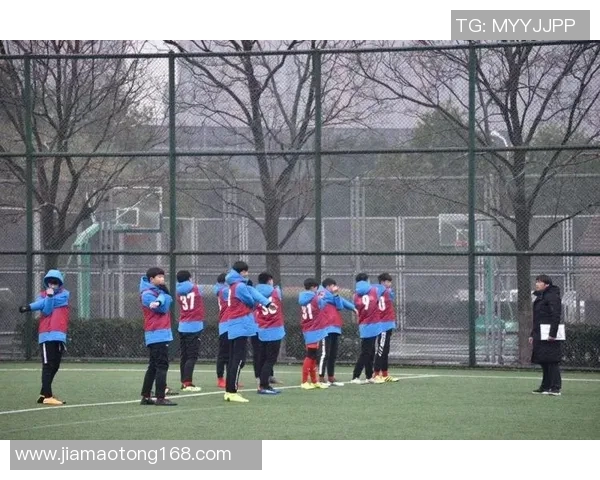 足球明星的魅力与影响力探索教案反思与启示 足球明星的魅力与影响力探索教案反思与启示