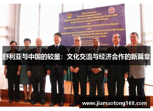 舒利亚与中国的较量：文化交流与经济合作的新篇章
